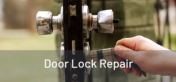 Door Lock Repair