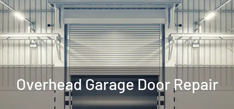 Overhead Garage Door Repair 